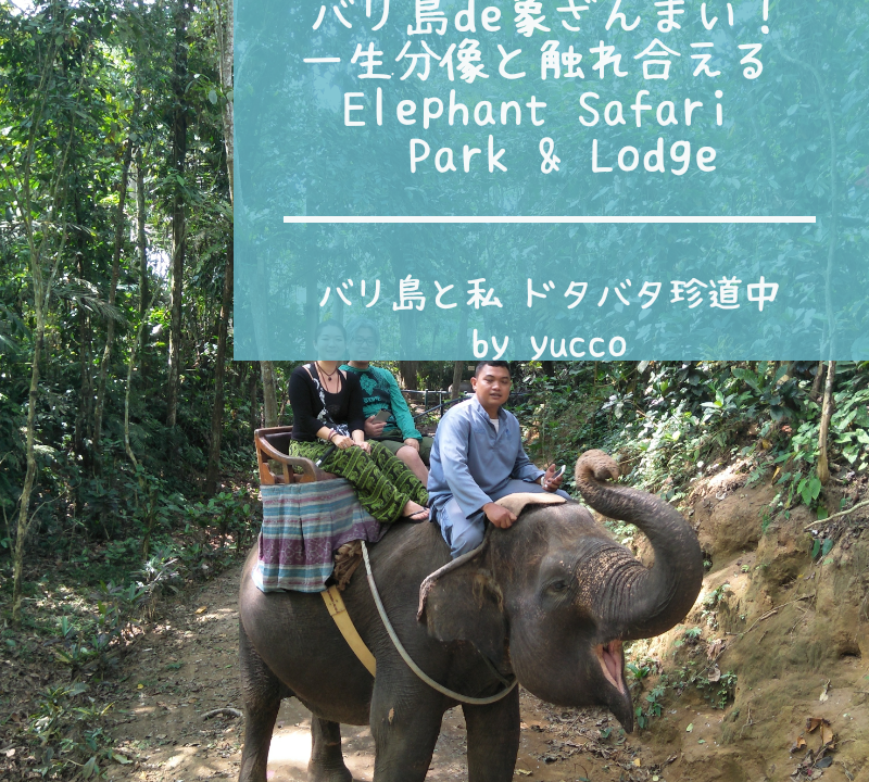 バリ島ウブド おすすめホテル 象ざんまい 一生分象と触れ合える Elephant Safari Park Lodge 部屋まで象が来る バリ島と私 ドタバタ珍道中ブログ
