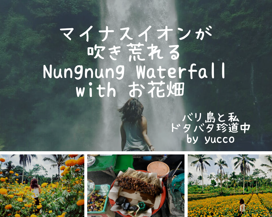 バリ島ウブド方面 マイナスイオンが吹き荒れる Nungnung Waterfall With お花畑 バリ島と私 ドタバタ珍道中ブログ